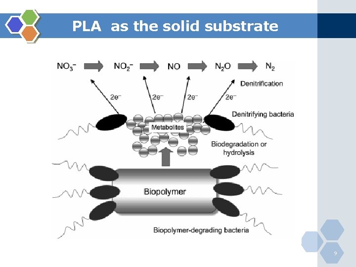 PLA as the solid substrate 9 