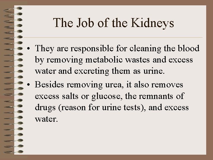 The Job of the Kidneys • They are responsible for cleaning the blood by The Job of the Kidneys • They are responsible for cleaning the blood by