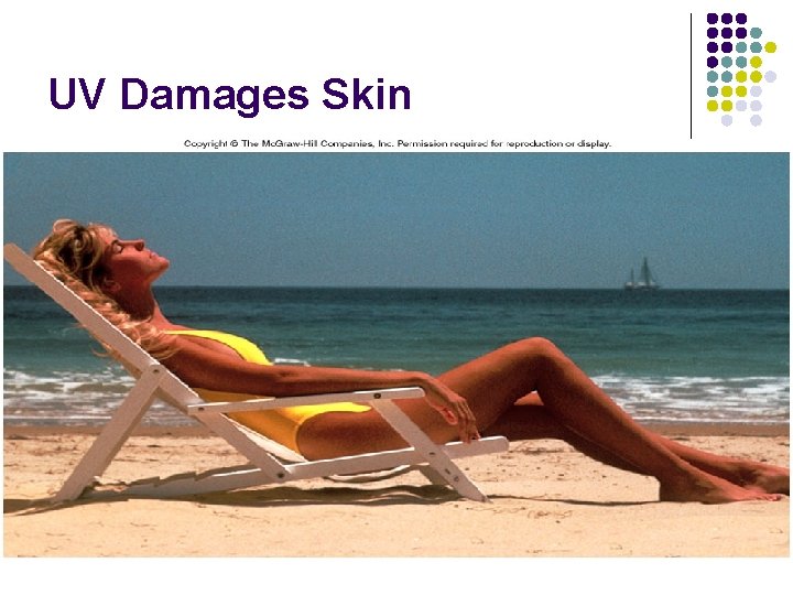 UV Damages Skin 