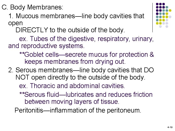 C. Body Membranes: 1. Mucous membranes—line body cavities that open DIRECTLY to the outside