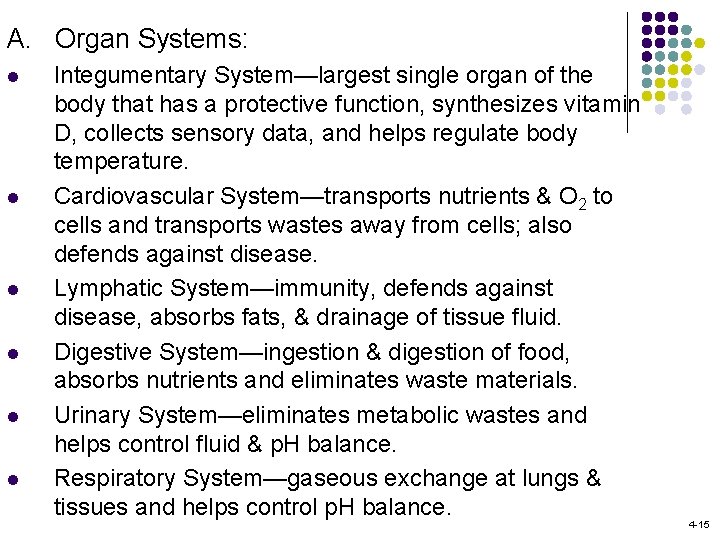 A. Organ Systems: l l l Integumentary System—largest single organ of the body that
