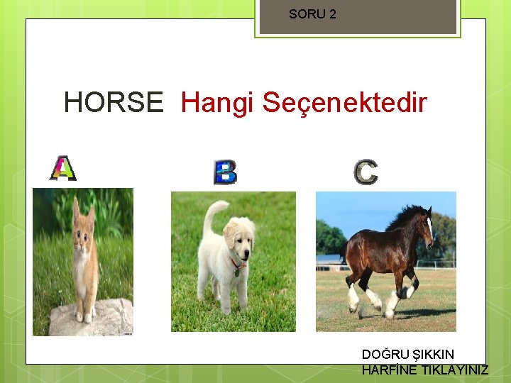 SORU 2 HORSE Hangi Seçenektedir DOĞRU ŞIKKIN HARFİNE TIKLAYINIZ 