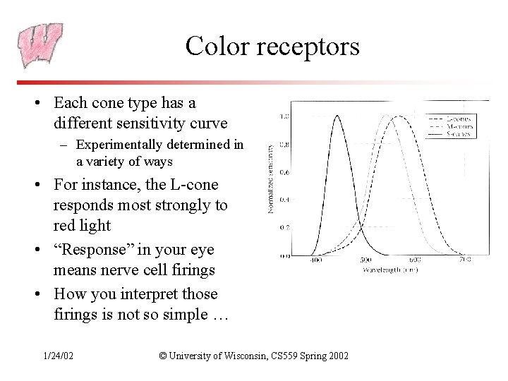 Color receptors • Each cone type has a different sensitivity curve – Experimentally determined