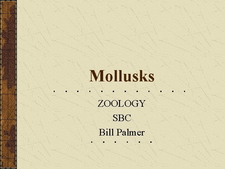 Mollusks ZOOLOGY SBC Bill Palmer 