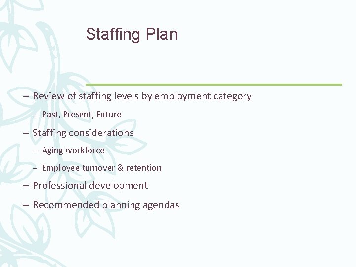 Staffing Plan – Review of staffing levels by employment category – Past, Present, Future
