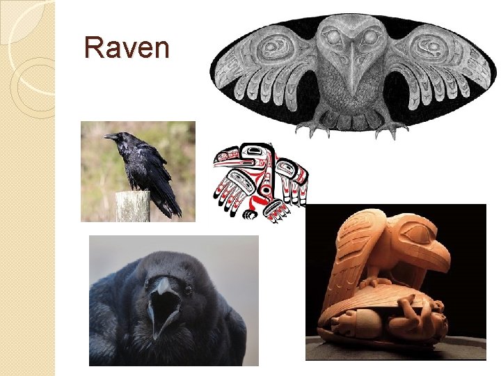 Raven 