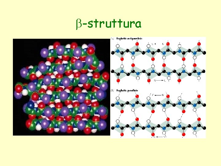 b-struttura 