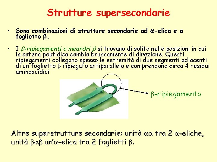 Strutture supersecondarie • Sono combinazioni di strutture secondarie ad a-elica e a foglietto b.