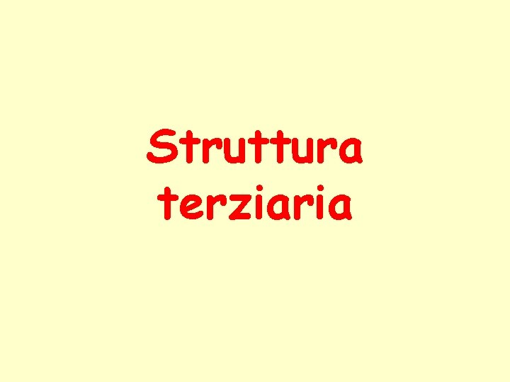 Struttura terziaria 