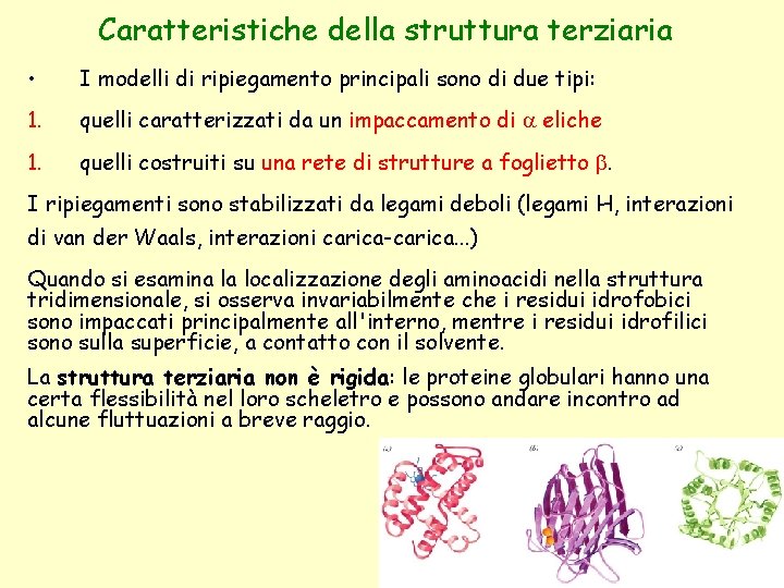 Caratteristiche della struttura terziaria • I modelli di ripiegamento principali sono di due tipi: