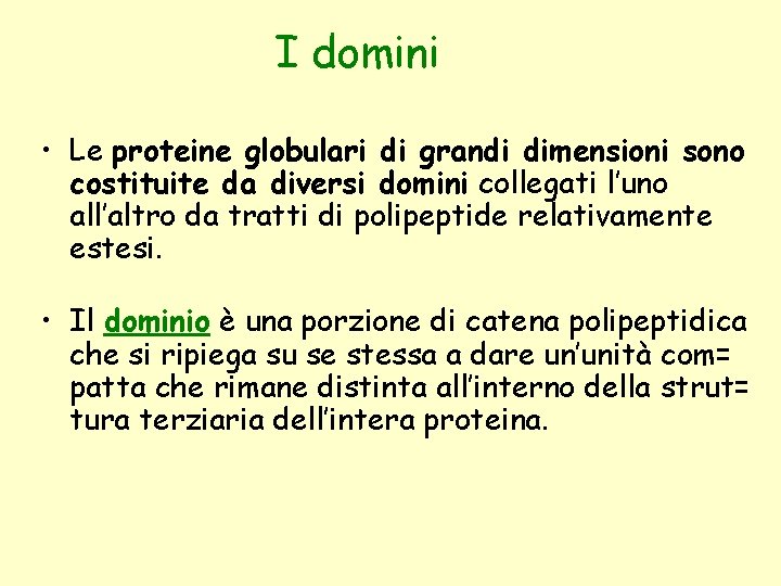 I domini • Le proteine globulari di grandi dimensioni sono costituite da diversi domini