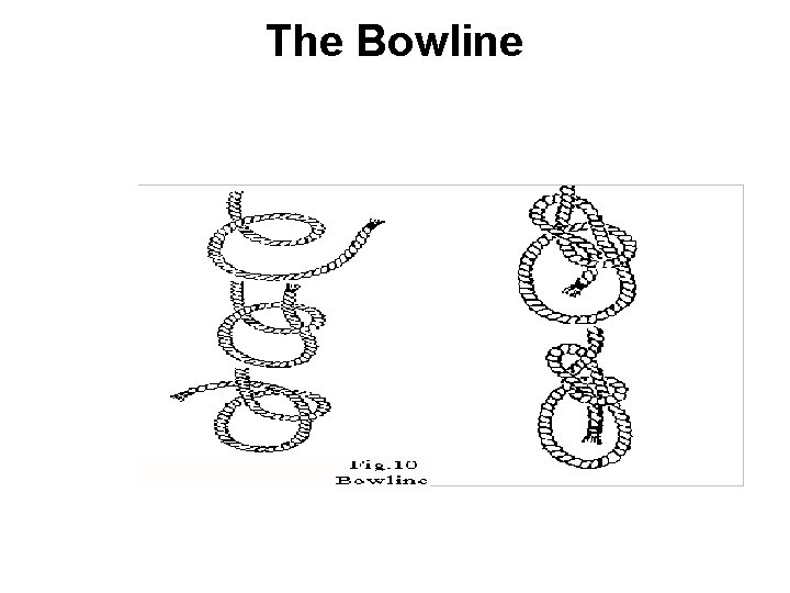 The Bowline 