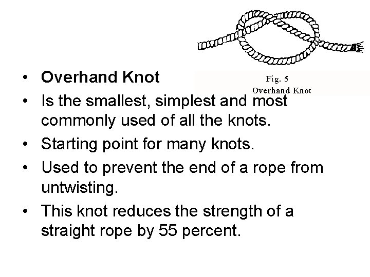  • Overhand Knot • Is the smallest, simplest and most commonly used of