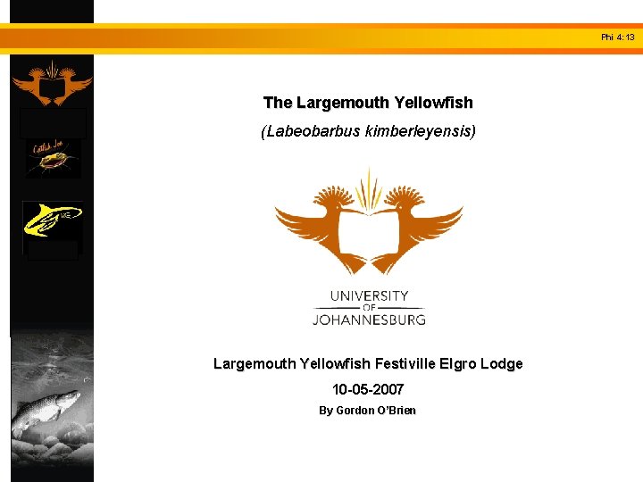 Phi 4: 13 The Largemouth Yellowfish (Labeobarbus kimberleyensis) Largemouth Yellowfish Festiville Elgro Lodge 10