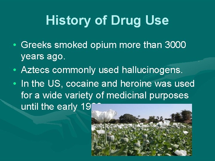 History of Drug Use • Greeks smoked opium more than 3000 years ago. •