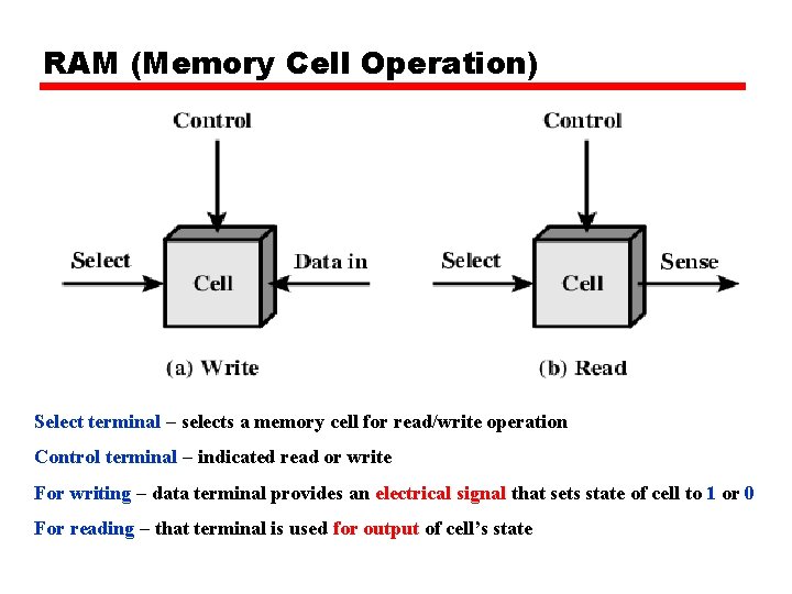 RAM (Memory Cell Operation) Select terminal – selects a memory cell for read/write operation