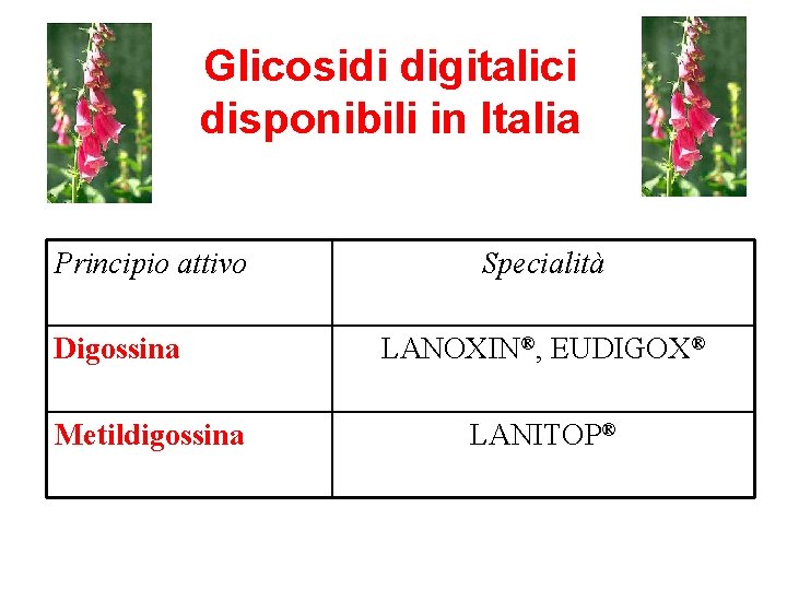 Glicosidi digitalici disponibili in Italia Principio attivo Digossina Metildigossina Specialità LANOXIN®, EUDIGOX® LANITOP® 