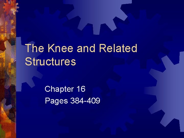 The Knee and Related Structures Chapter 16 Pages 384 -409 