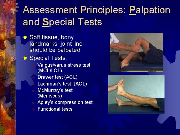 Assessment Principles: Palpation and Special Tests Soft tissue, bony landmarks, joint line should be