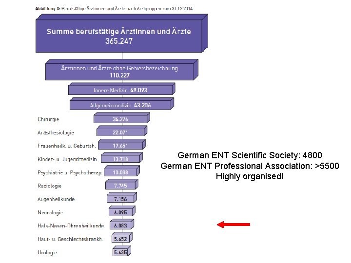German ENT Scientific Society: 4800 German ENT Professional Association: >5500 Highly organised! 