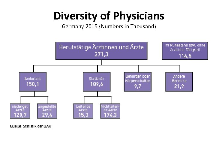 Diversity of Physicians Germany 2015 (Numbers in Thousand) 