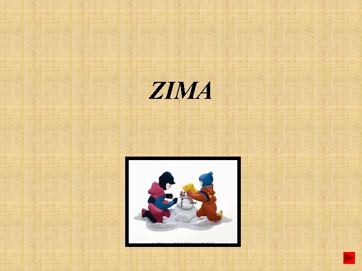 ZIMA 
