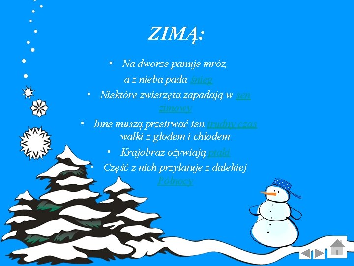 ZIMĄ: • Na dworze panuje mróz, a z nieba pada śnieg • Niektóre zwierzęta