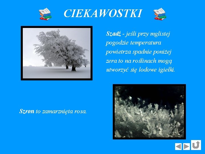 CIEKAWOSTKI Szadź - jeśli przy mglistej pogodzie temperatura powietrza spadnie poniżej zera to na