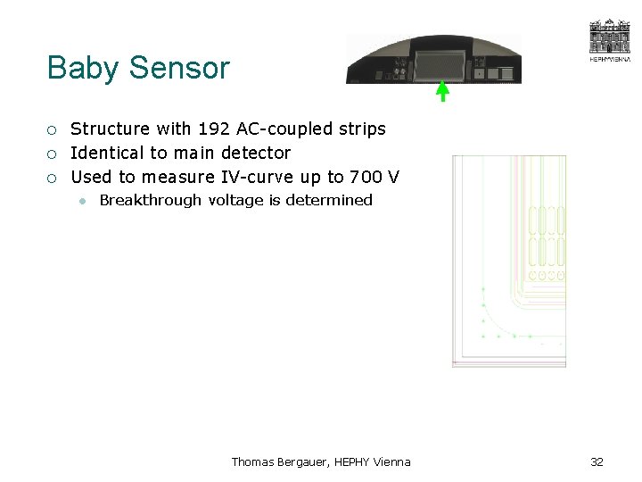 Baby Sensor ¡ ¡ ¡ Structure with 192 AC-coupled strips Identical to main detector