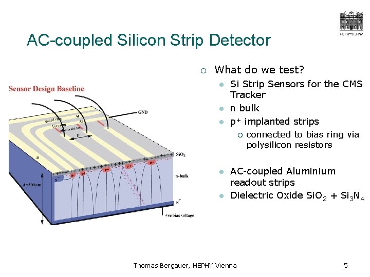 AC-coupled Silicon Strip Detector ¡ What do we test? l l l Si Strip