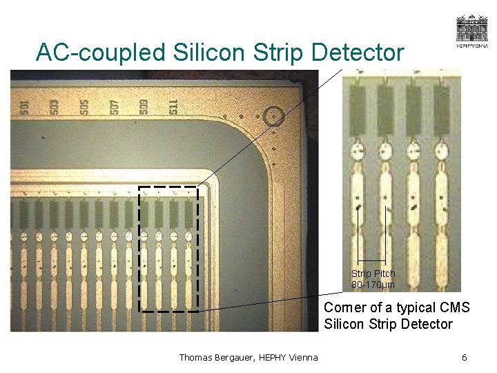 AC-coupled Silicon Strip Detector Strip Pitch 80 -170μm Corner of a typical CMS Silicon