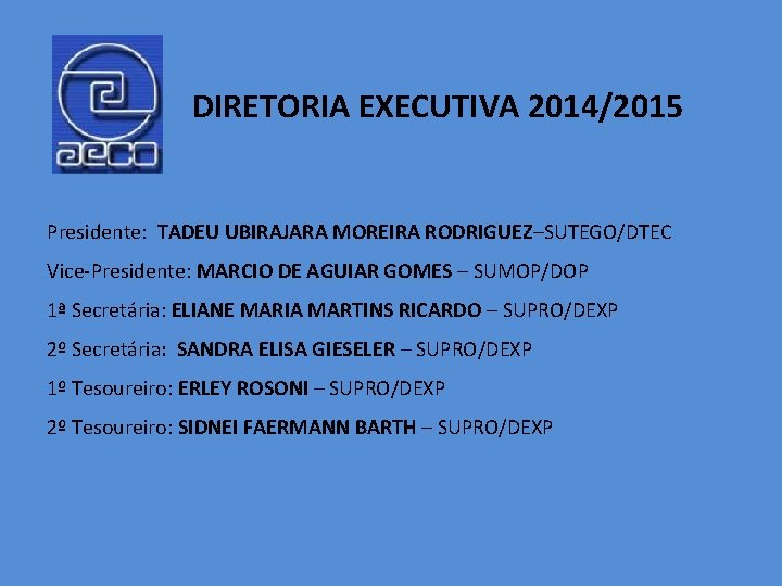 DIRETORIA EXECUTIVA 2014/2015 Presidente: TADEU UBIRAJARA MOREIRA RODRIGUEZ–SUTEGO/DTEC Vice-Presidente: MARCIO DE AGUIAR GOMES –