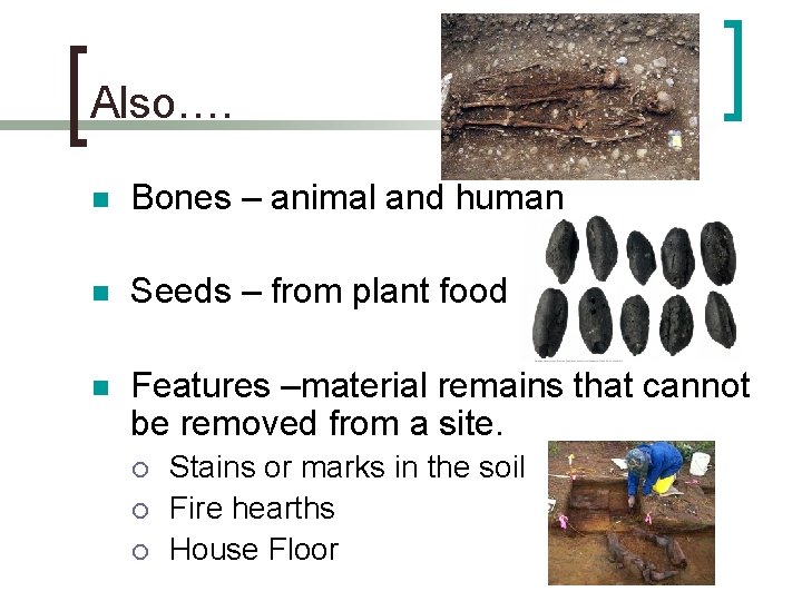 Also…. n Bones – animal and human n Seeds – from plant food n