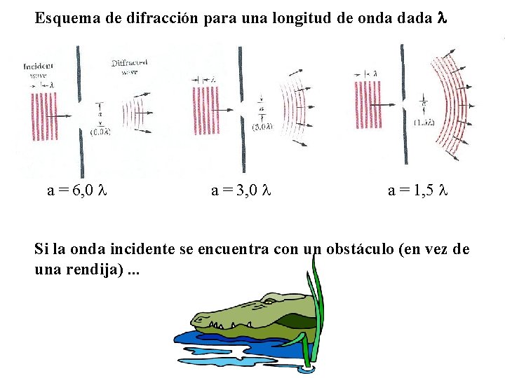 Esquema de difracción para una longitud de onda dada a = 6, 0 a