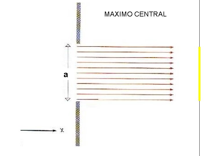 MAXIMO CENTRAL a 