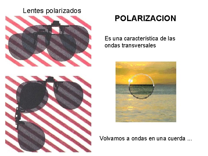 Lentes polarizados POLARIZACION Es una característica de las ondas transversales Volvamos a ondas en