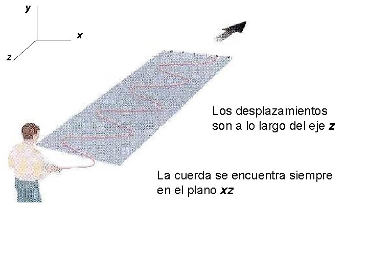 y x z Los desplazamientos son a lo largo del eje z La cuerda