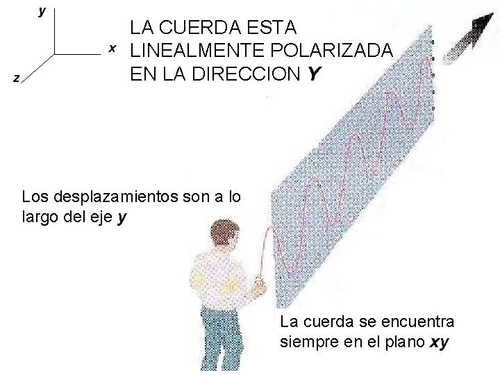 y x z LA CUERDA ESTA LINEALMENTE POLARIZADA EN LA DIRECCION Y Los desplazamientos