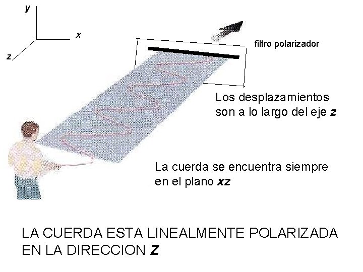 y x filtro polarizador z Los desplazamientos son a lo largo del eje z