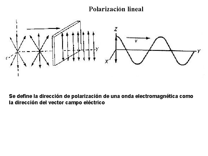 Polarización lineal Se define la dirección de polarización de una onda electromagnética como la