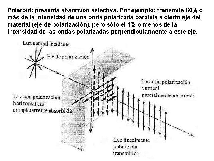 Polaroid: presenta absorción selectiva. Por ejemplo: transmite 80% o más de la intensidad de