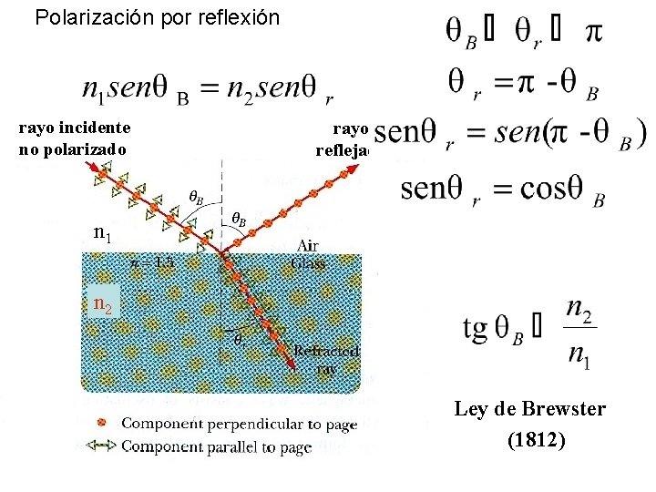 Polarización por reflexión rayo incidente no polarizado rayo reflejado n 1 n 2 Ley