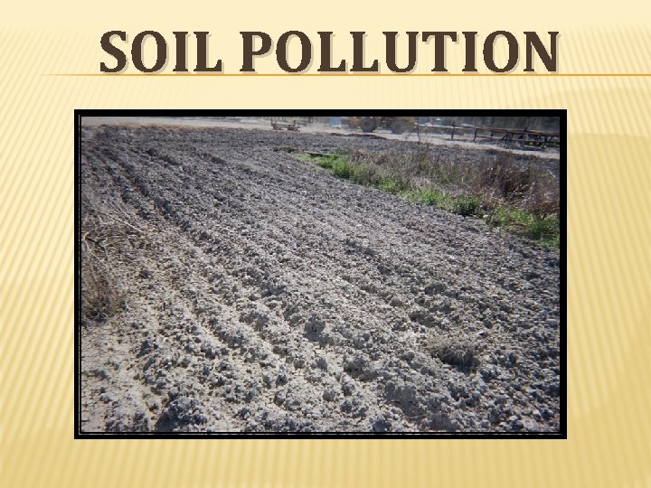 SOIL POLLUTION 