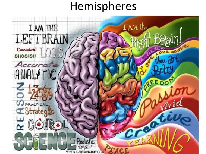 Hemispheres 