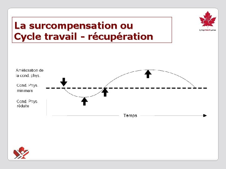 La surcompensation ou Cycle travail - récupération 