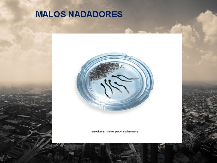 MALOS NADADORES 