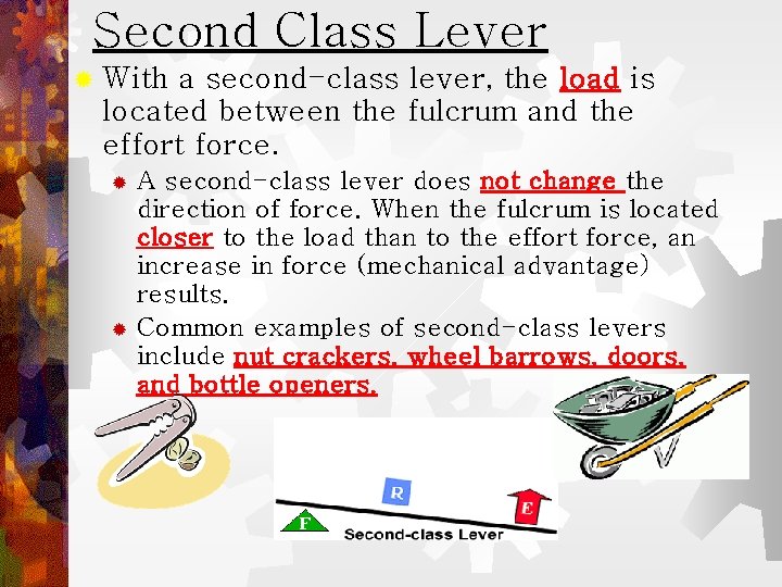 Second Class Lever ® With a second-class lever, the load is located between the