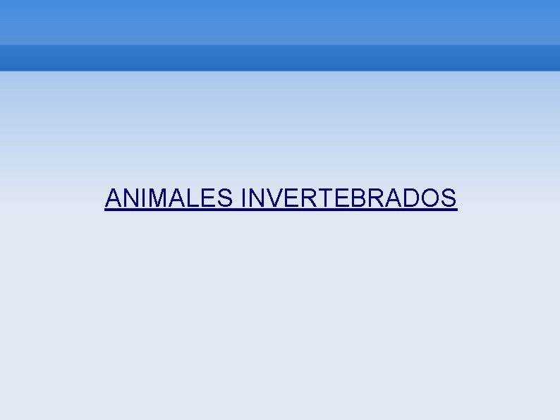 ANIMALES INVERTEBRADOS 