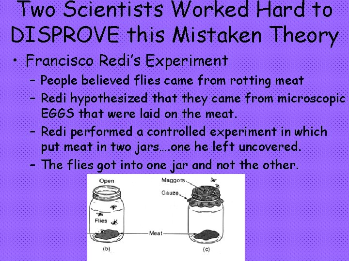 Two Scientists Worked Hard to DISPROVE this Mistaken Theory • Francisco Redi’s Experiment –