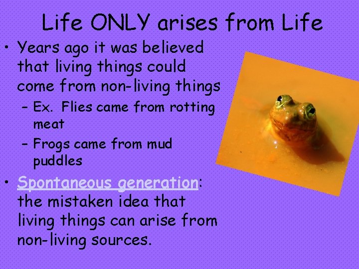 Life ONLY arises from Life • Years ago it was believed that living things